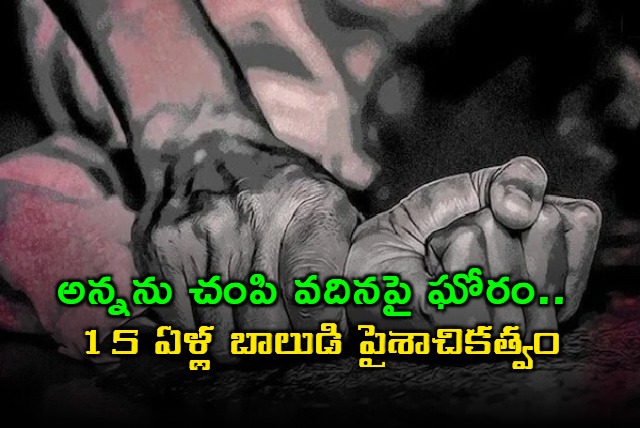 Junagadh Murder Minor Kills Brother and Sister in Law in Gujarat