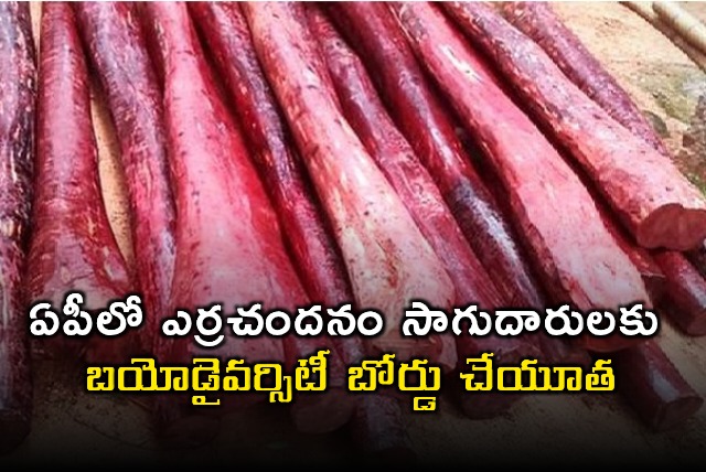 Red Sanders Farmers in AP Get Support from Biodiversity Board