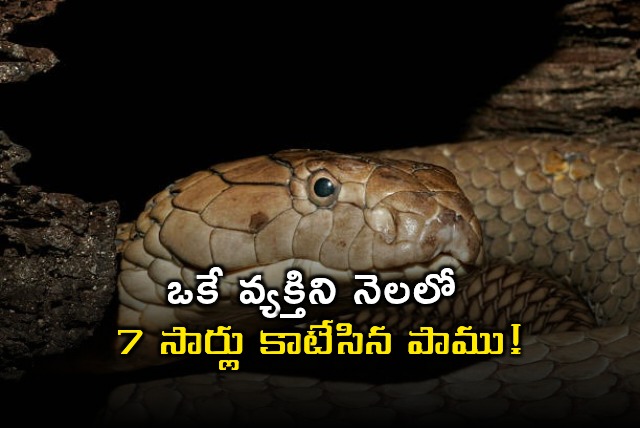 Jagtial Driver Bitten by Same Snake 7 Times in a Month