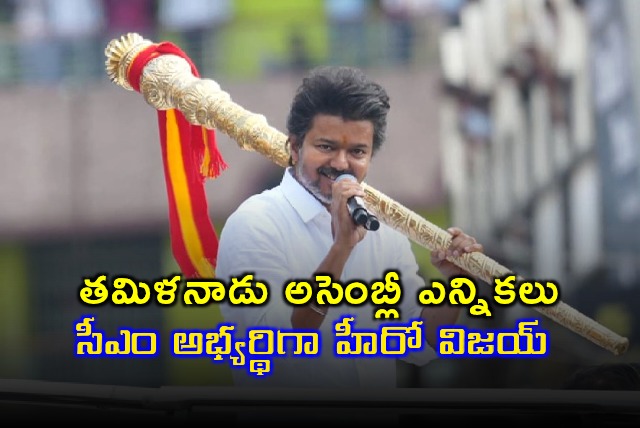 Vijay to Contest Alone in Tamil Nadu Elections as CM Candidate