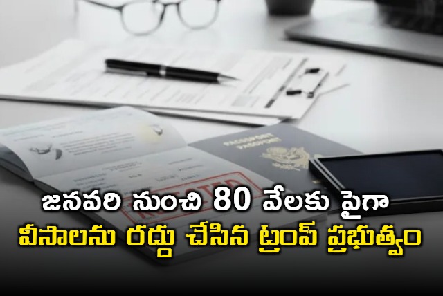 Donald Trump Administration Revokes Over 80000 Visas Since January