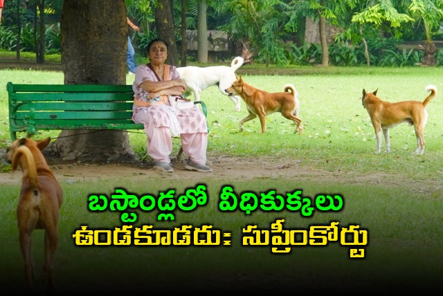 Supreme Court Orders Stray Dog Removal from Railway Stations Bus Stands