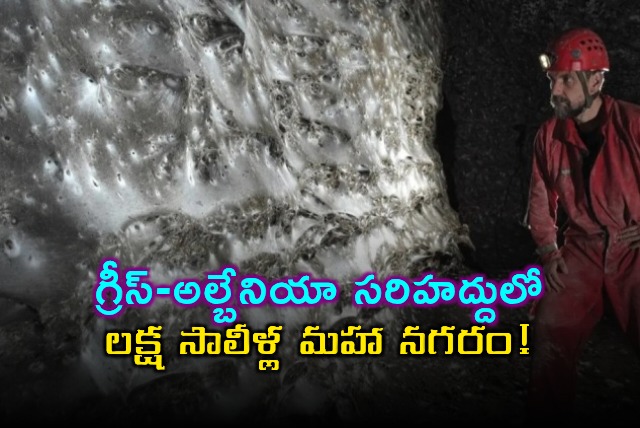 Istvan Urak Discovers Massive Spider Colony in Greece Albania Cave