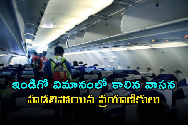 Indigo Flight Passengers Panic After Burning Smell in Cabin