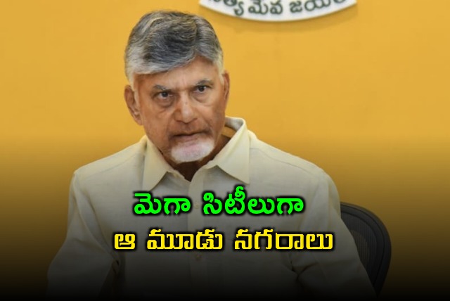 Chandrababu Focuses on Developing Three Mega Cities in Andhra Pradesh