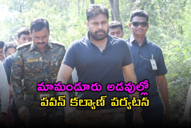 Pawan Kalyan Field Inspection in Mamanduru Forests
