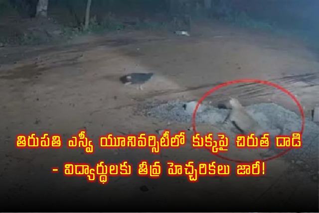 SV University Tirupati Leopard Attack Sparks Alert