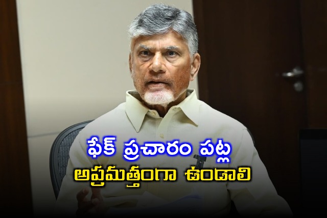 Chandrababu Naidu Warns TDP Leaders Against YCP Fake Propaganda