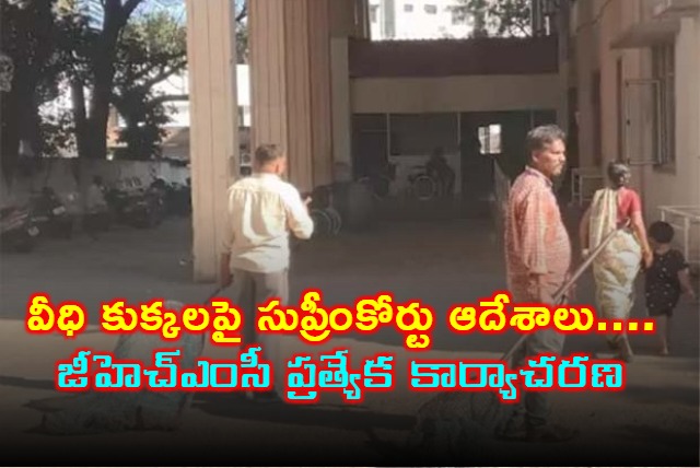 GHMC Special Operation on Street Dogs as per Supreme Court Orders