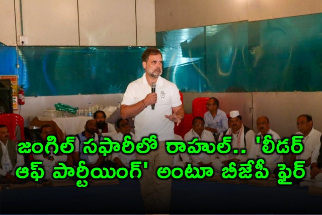 Rahul Gandhi Jungle Safari Sparks BJP Criticism Leader of Partying