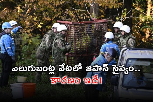 Japan Bears Army Deployed Due to Increased Attacks