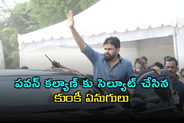 Pawan Kalyan Saluted by Kumki Elephants in Chittoor