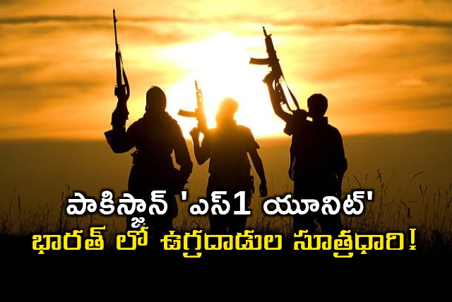 Pakistan S1 Unit What Does It Do