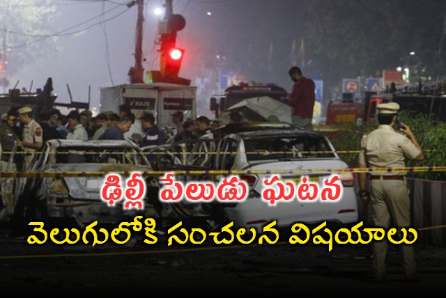 Delhi Blast Investigation Reveals Key Details