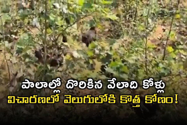 Elkathurthy Chicken Farm owner releases chickens for insurance money