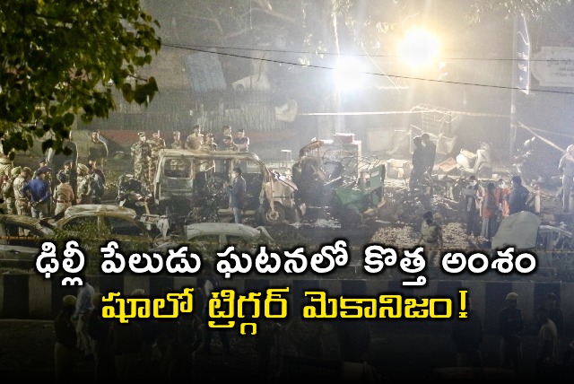 Delhi Blast Update Shoe Trigger Mechanism Uncovered