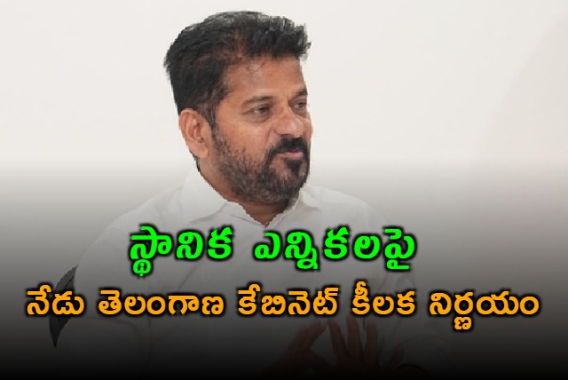 Telangana Cabinet to take decision on local body polls today