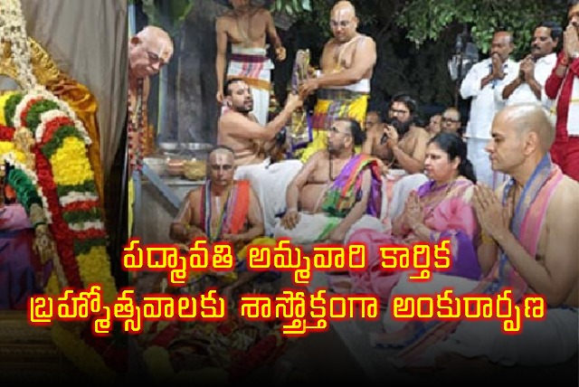 Padmavathi Ammavari Karthika Brahmotsavam Begins with Ankurarpanam