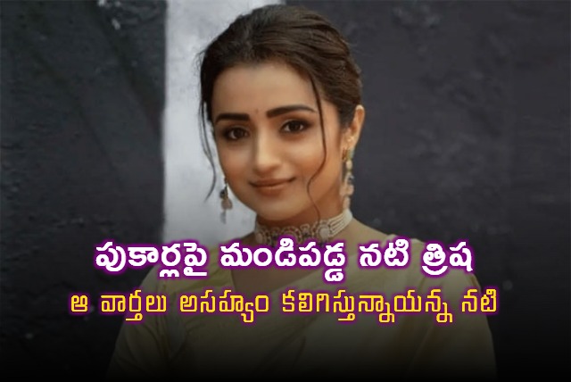 Trisha Krishnan Fires Over Wedding Rumors and False News