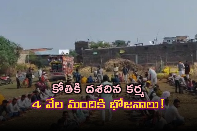 Monkey Death in Madhya Pradesh Village Leads to Feast for 4000