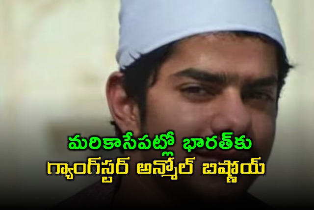 Gangster Anmol Bishnoi to Land in India Today