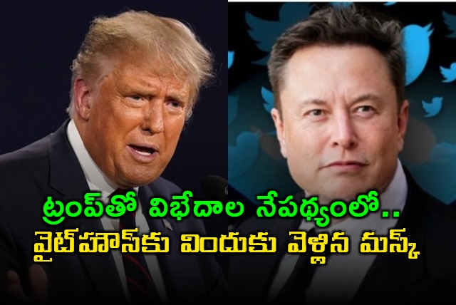 Elon Musk Attends White House Dinner After Trump Disputes