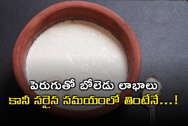 Yogurt Benefits When to Eat for Maximum Health