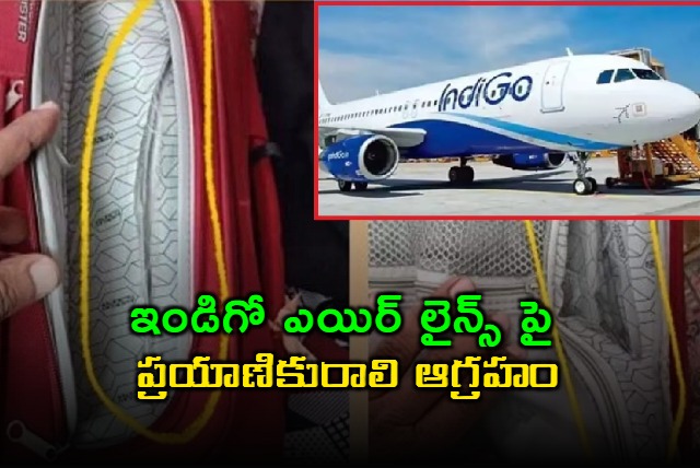 Indigo Airlines Passenger Alleges Luggage Theft Negligence