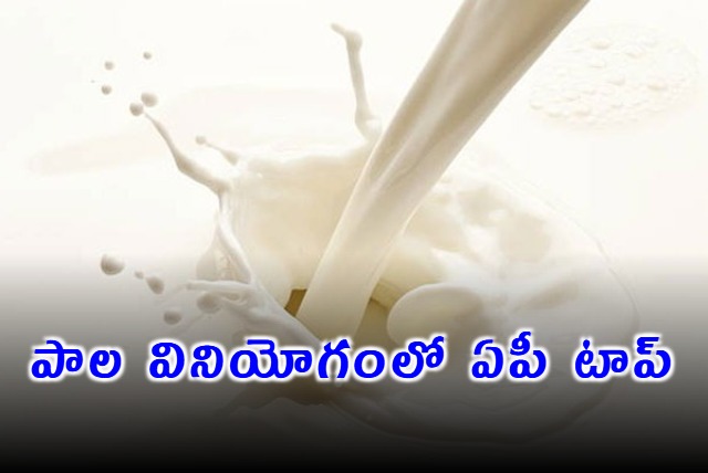 Andhra Pradesh Exceeds National Average in Milk Consumption Says Damodar Naidu