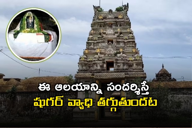 Diabetes Temple Tamil Nadu temple believed to cure diabetes