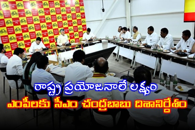 Chandrababu Directs MPs on AP Development Agenda