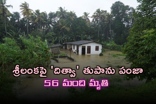 Dithwa Cyclone Devastates Sri Lanka 56 Dead
