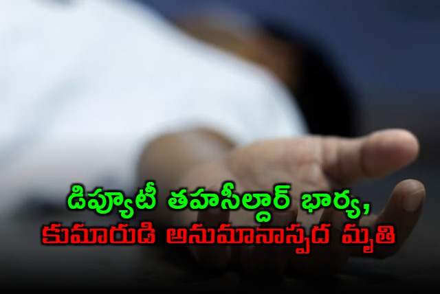 Anantapur Deputy Tahsildar Wife Son Die Suspiciously