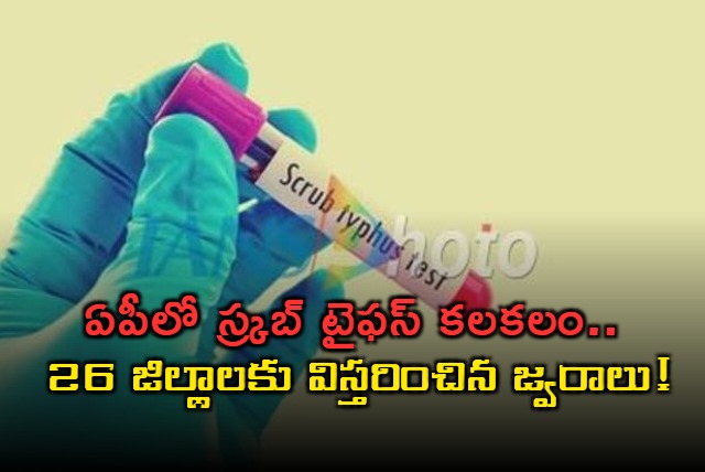 Scrub Typhus Outbreak Grips Andhra Pradesh All 26 Districts Affected