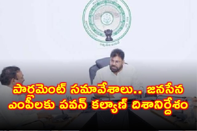 Pawan Kalyan Directs Janasena MPs on Parliament Strategy