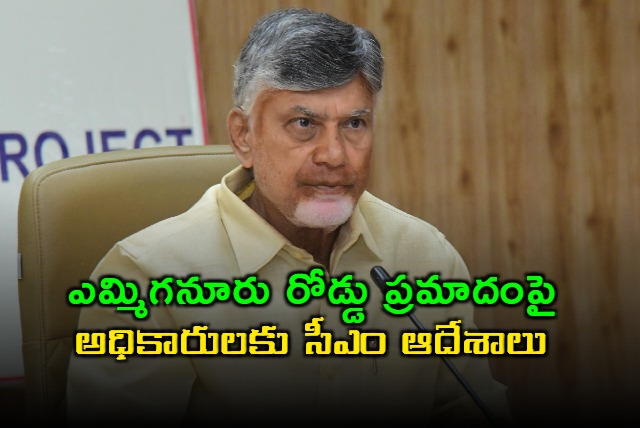 Chandrababu Naidu Shocked by Emmiganur Road Accident