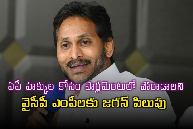Jagan Calls YSRCP MPs to Fight for AP Rights in Parliament