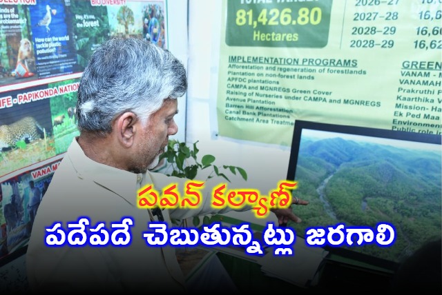 Chandrababu Naidu Says Pawan Kalyan Vision Should Happen