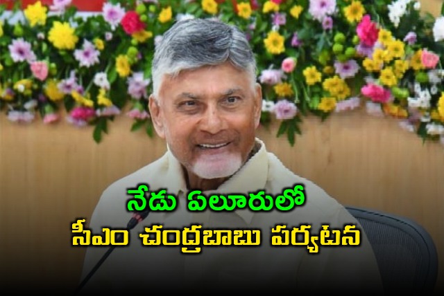 Chandrababu Naidu Eluru Visit Today for Pension Distribution