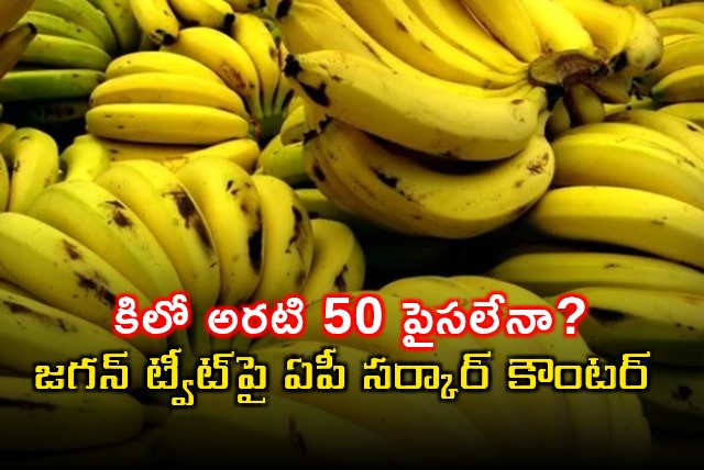 YS Jagans Banana Price Claim Fact Checked by AP Government