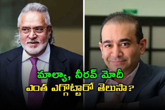 15 Fugitive Economic Offenders Including Vijay Mallya And Nirav Modi Owe Over Rs 58000 Crore Says Government