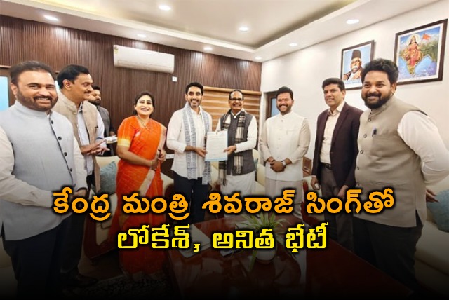 Nara Lokesh Anitha Meet Central Minister on AP Cyclone Loss