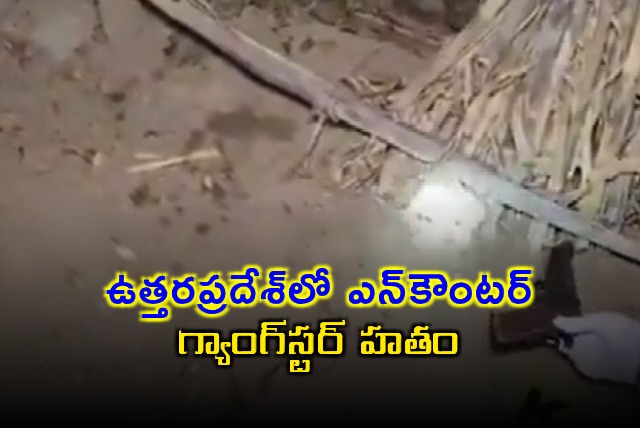 Gangster Mithun Killed in Uttar Pradesh Encounter