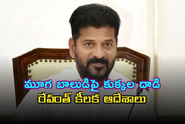  Revanth Reddy Orders Action After Dog Attack on Mute Boy
