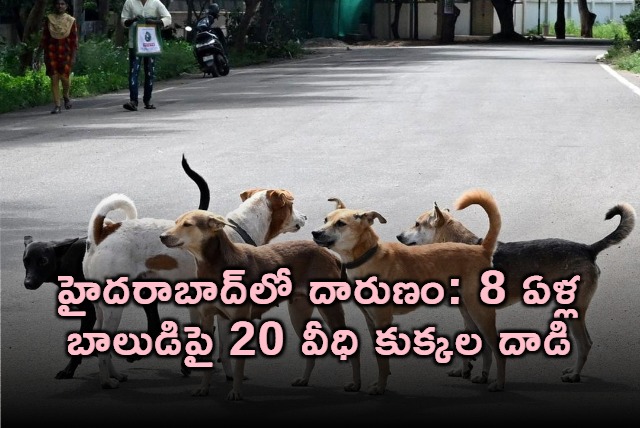 Hyderabad 8 Year Old Premchand Attacked by 20 Street Dogs