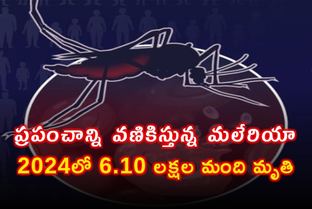 Over 6 lakh lives lost due to malaria in 2024 drug resistance a major threat Says WHO