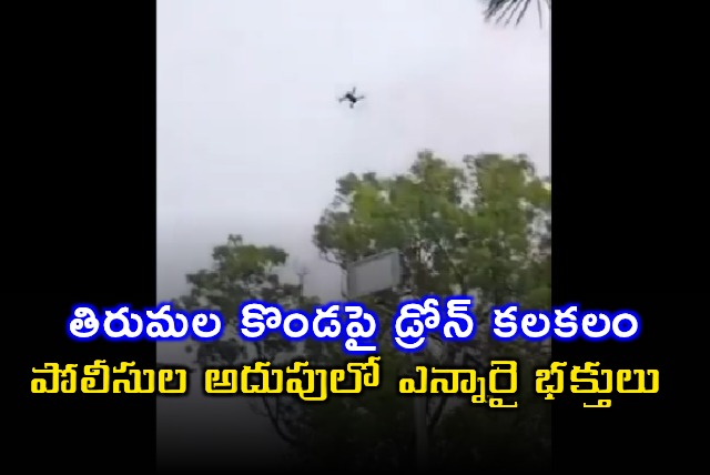 Tirumala Drone Scare NRI Devotees in Police Custody