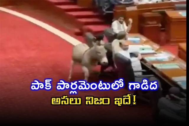 Pakistan Parliament Viral Donkey Video is AI Generated