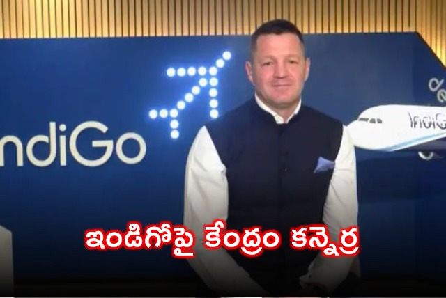 Centre Planning Big IndiGo Crackdown Likely To Seek CEO Pieter Elbers Removal