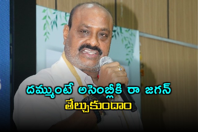 Acham Naidu Challenges Jagan to Assembly Debate